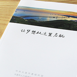 大連市委宣傳冊設計